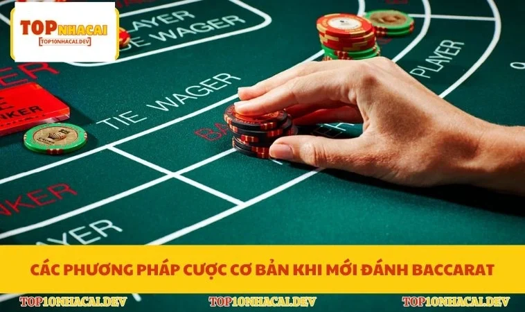 Các phương pháp cược cơ bản khi mới đánh Baccarat