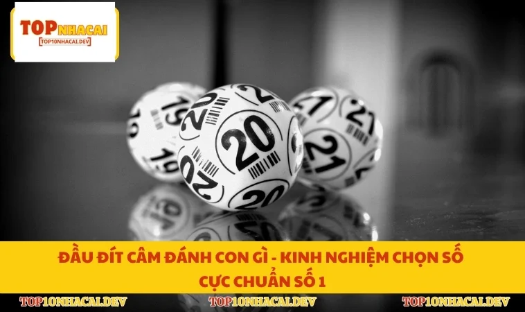 Đầu Đít Câm Đánh Con Gì - Kinh Nghiệm Chọn Số Cực Chuẩn Số 1