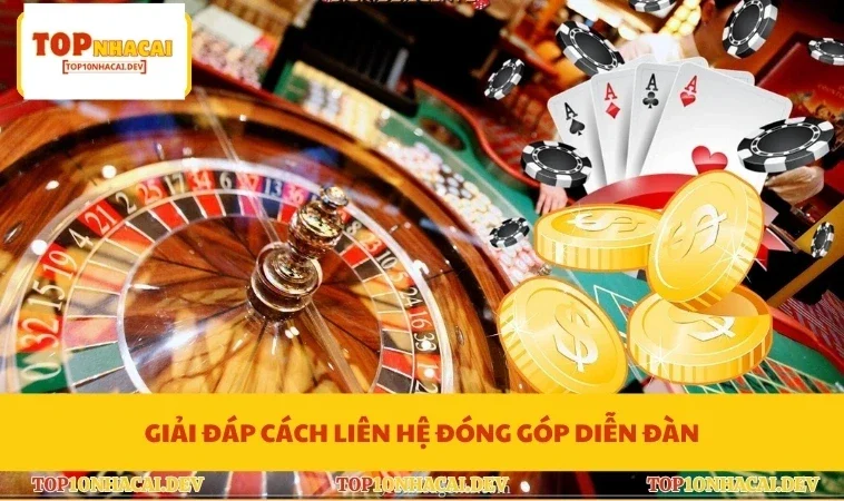 Giải đáp cách liên hệ đóng góp diễn đàn