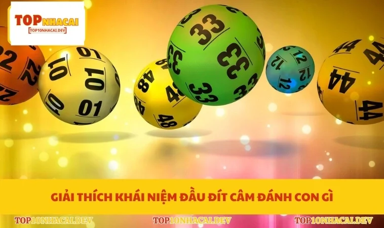 Giải thích khái niệm đầu đít câm đánh con gì