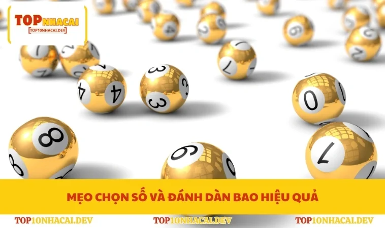 Mẹo chọn số và đánh dàn bao hiệu quả