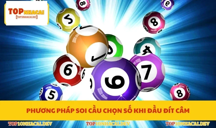 Phương pháp soi cầu chọn số khi đầu đít câm