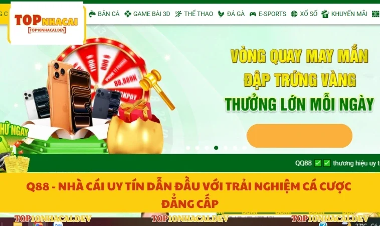 Q88 - Nhà Cái Uy Tín Dẫn Đầu Với Trải Nghiệm Cá Cược Đẳng Cấp